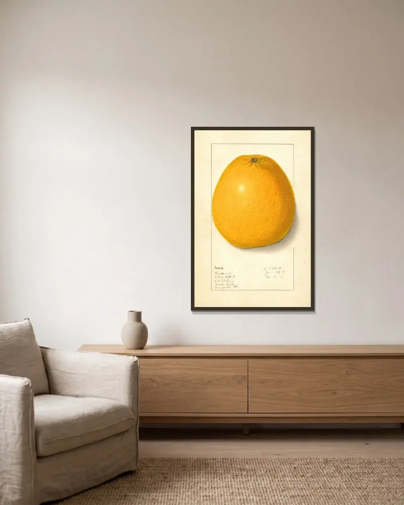 Citrus av Ellen Isham Schutt inramad på en vägg