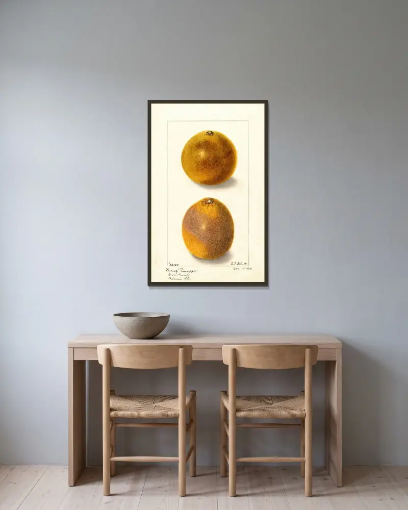 Citrus sinensis av Ellen Isham Schutt inramad på en vägg
