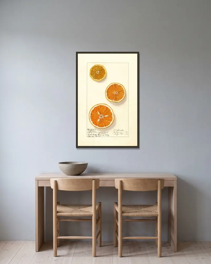 Citrus sinensis: Valencia av Ellen Isham Schutt inramad på en vägg