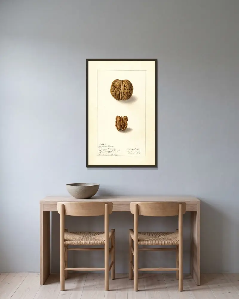 Juglans regia von Ellen Isham Schutt gerahmt an einer Wand