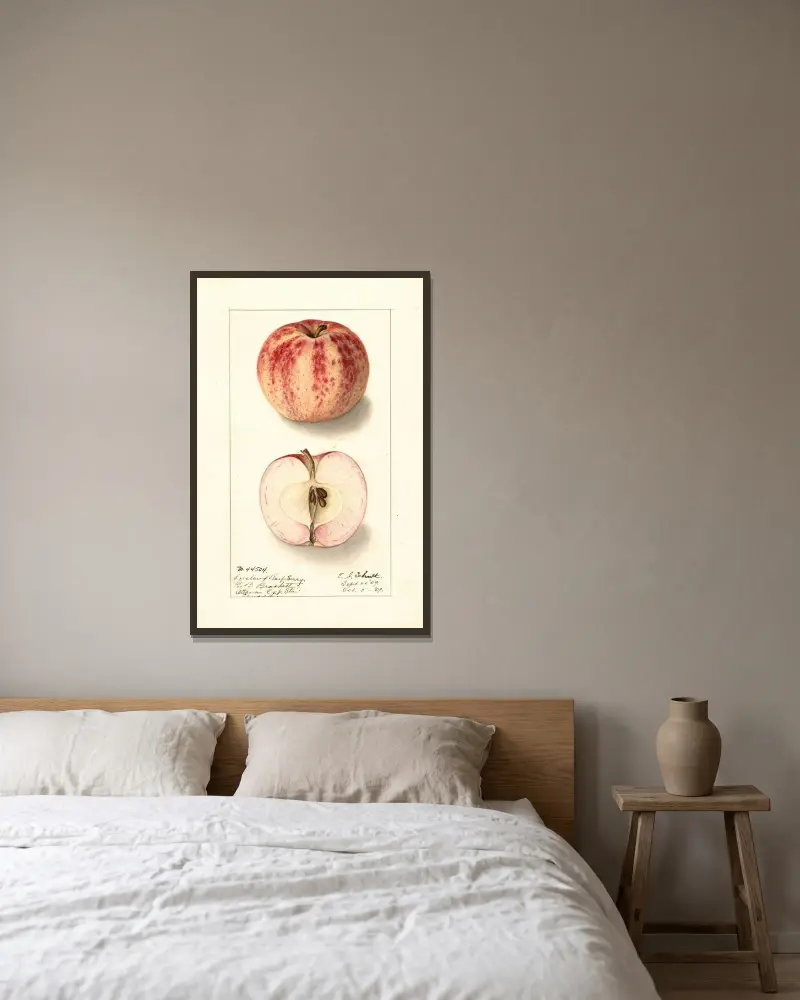 Malus domestica: Liveland Raspberry av Ellen Isham Schutt inramad på en vägg