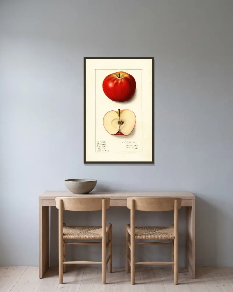 Malus domestica: Winesap av Ellen Isham Schutt inramad på en vägg