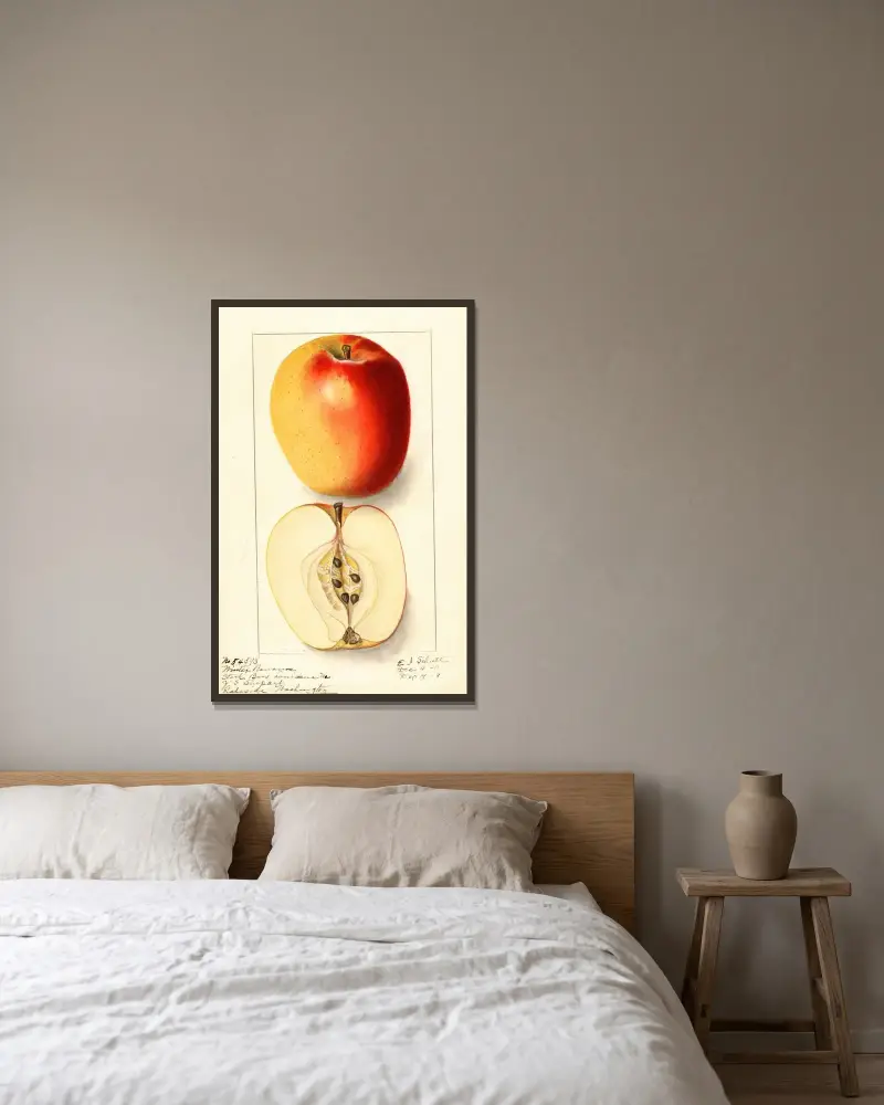 Malus domestica: Winter Banana av Ellen Isham Schutt inramad på en vägg