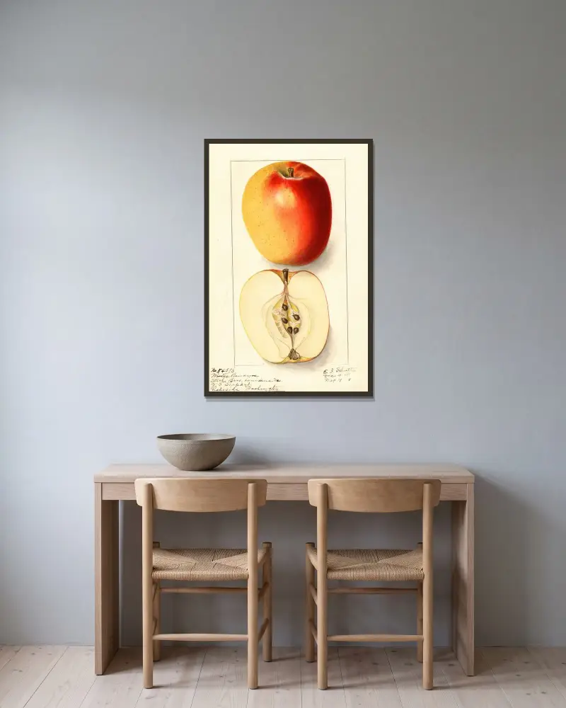 Malus domestica: Winter Banana av Ellen Isham Schutt inramad på en vägg