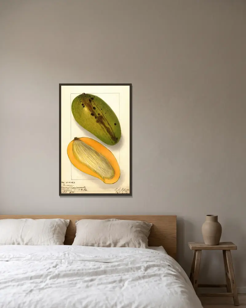 Mangifera indica: Ameeri av Ellen Isham Schutt inramad på en vägg