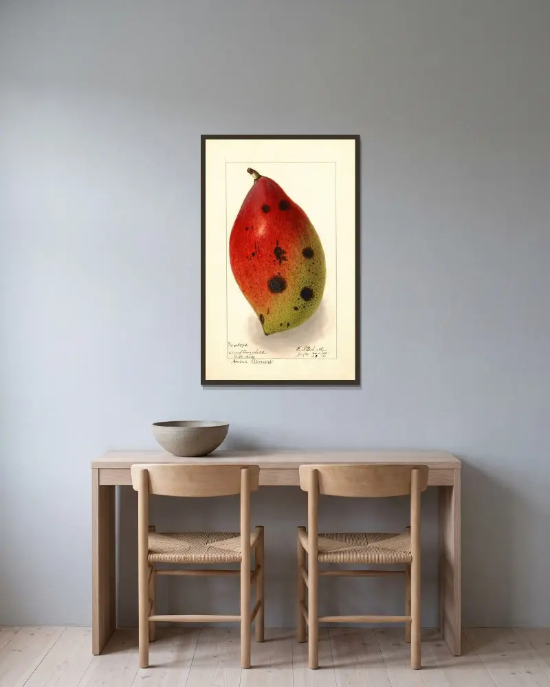 Mangifera indica: Ameeri; Amiri av Ellen Isham Schutt inramad på en vägg