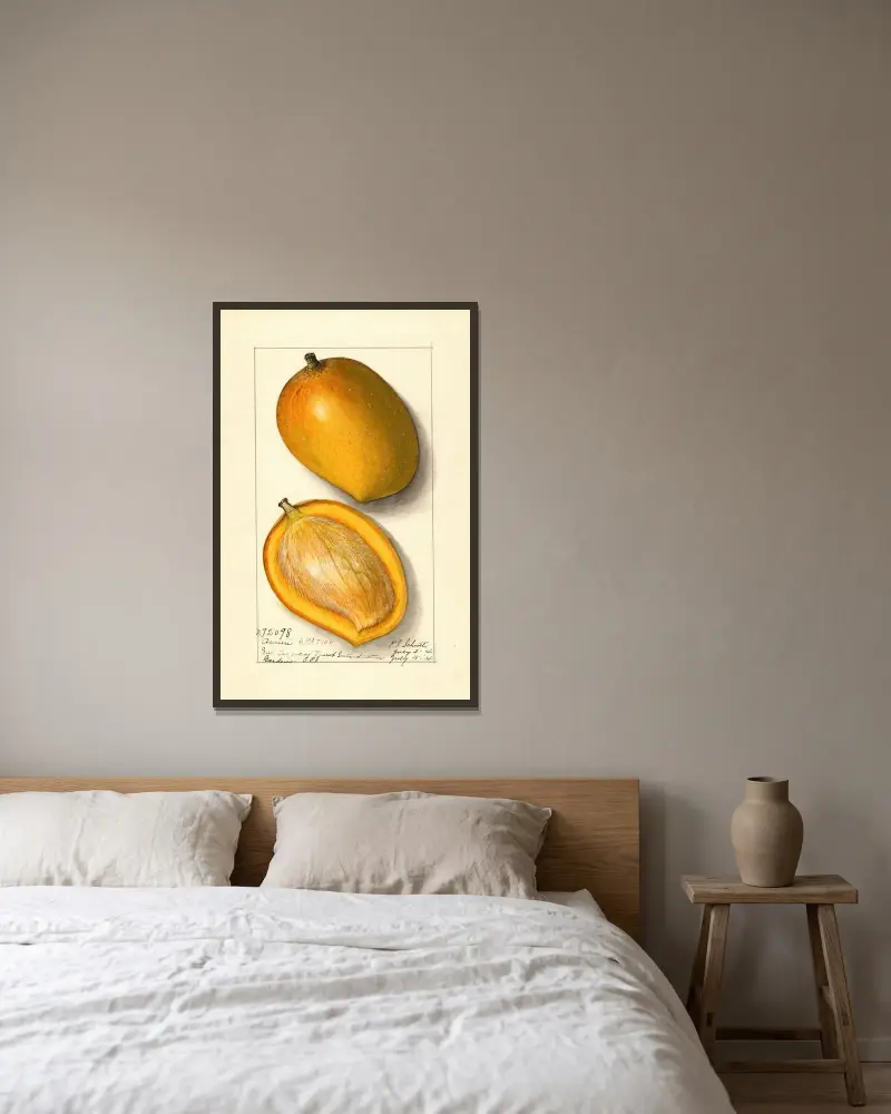 Mangifera indica: Amiri av Ellen Isham Schutt inramad på en vägg