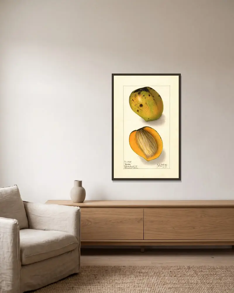 Mangifera indica: Rajia av Ellen Isham Schutt inramad på en vägg