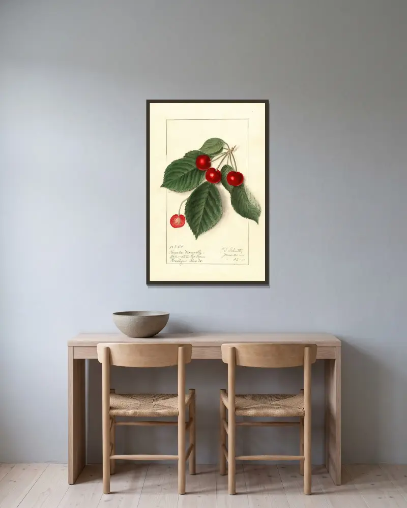 Prunus avium: Royal Novelle av Ellen Isham Schutt inramad på en vägg