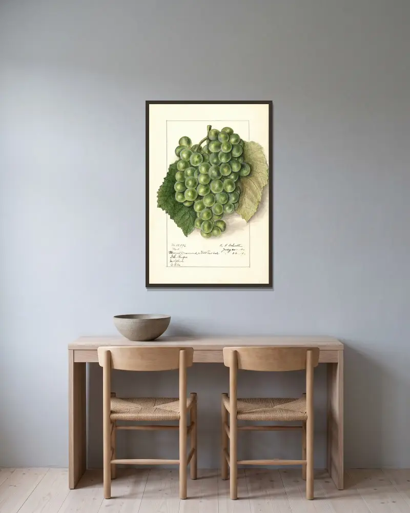 Vitis, 1911 – Nr. 2 von Ellen Isham Schutt gerahmt an einer Wand