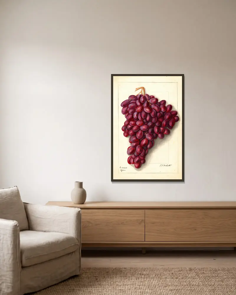 Vitis: Ajun von Ellen Isham Schutt gerahmt an einer Wand