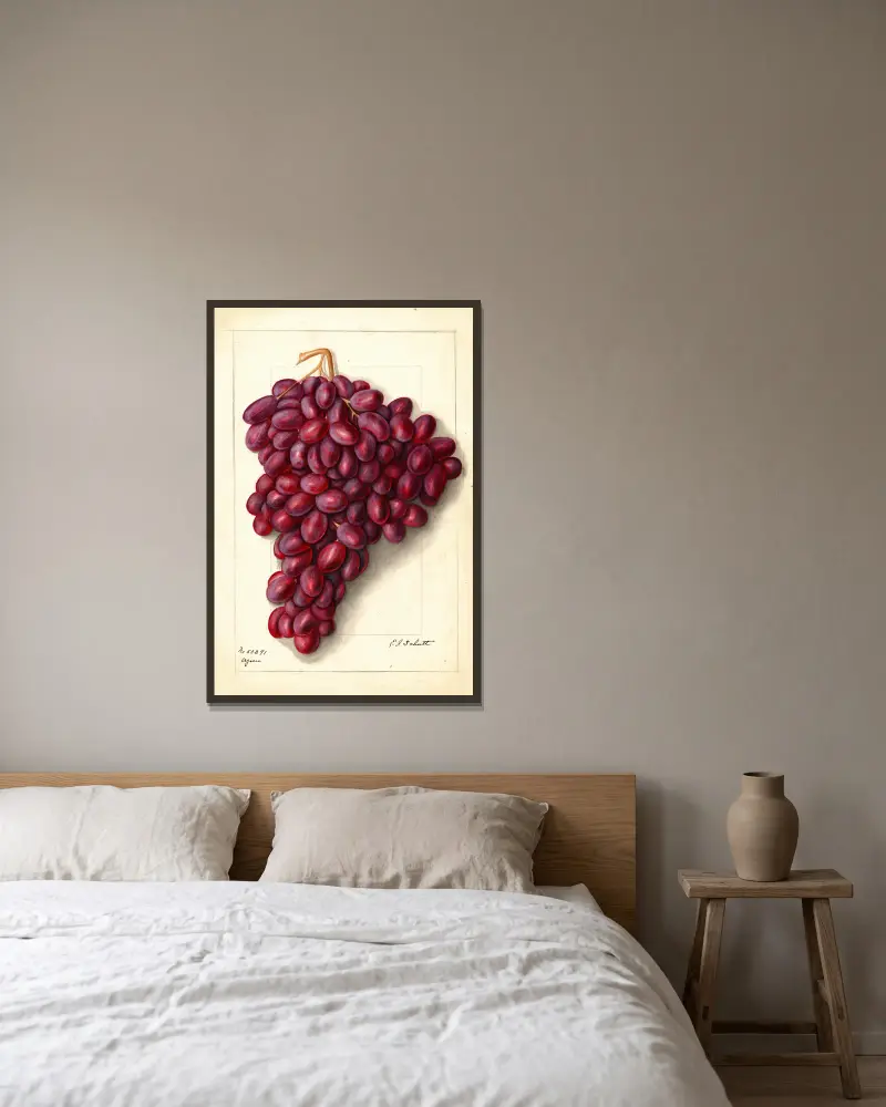 Vitis: Ajun von Ellen Isham Schutt gerahmt an einer Wand