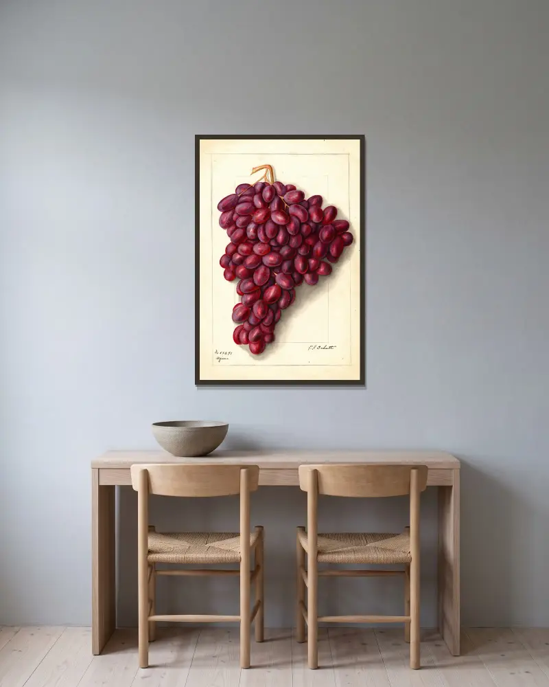 Vitis: Ajun von Ellen Isham Schutt gerahmt an einer Wand