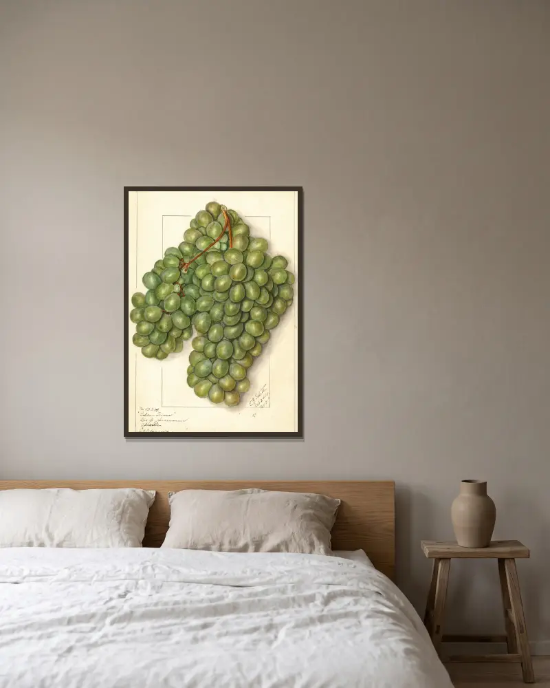 Vitis: Golden Queen, Ellen Isham Schutt v rámu na stěně