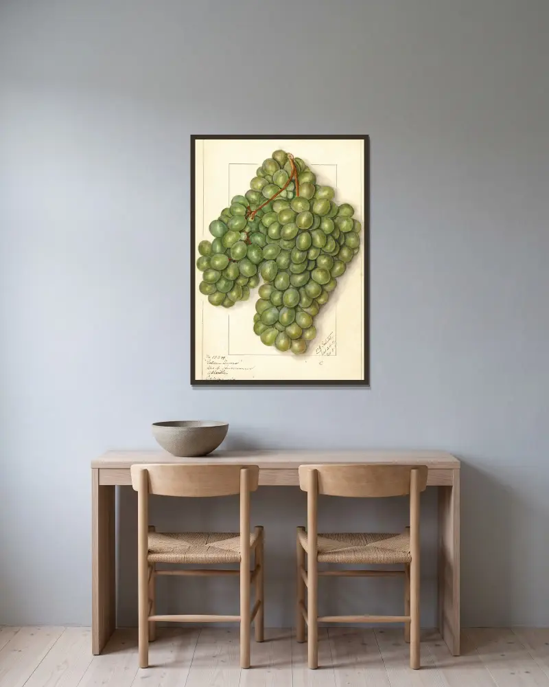 Vitis: Golden Queen, Ellen Isham Schutt v rámu na stěně