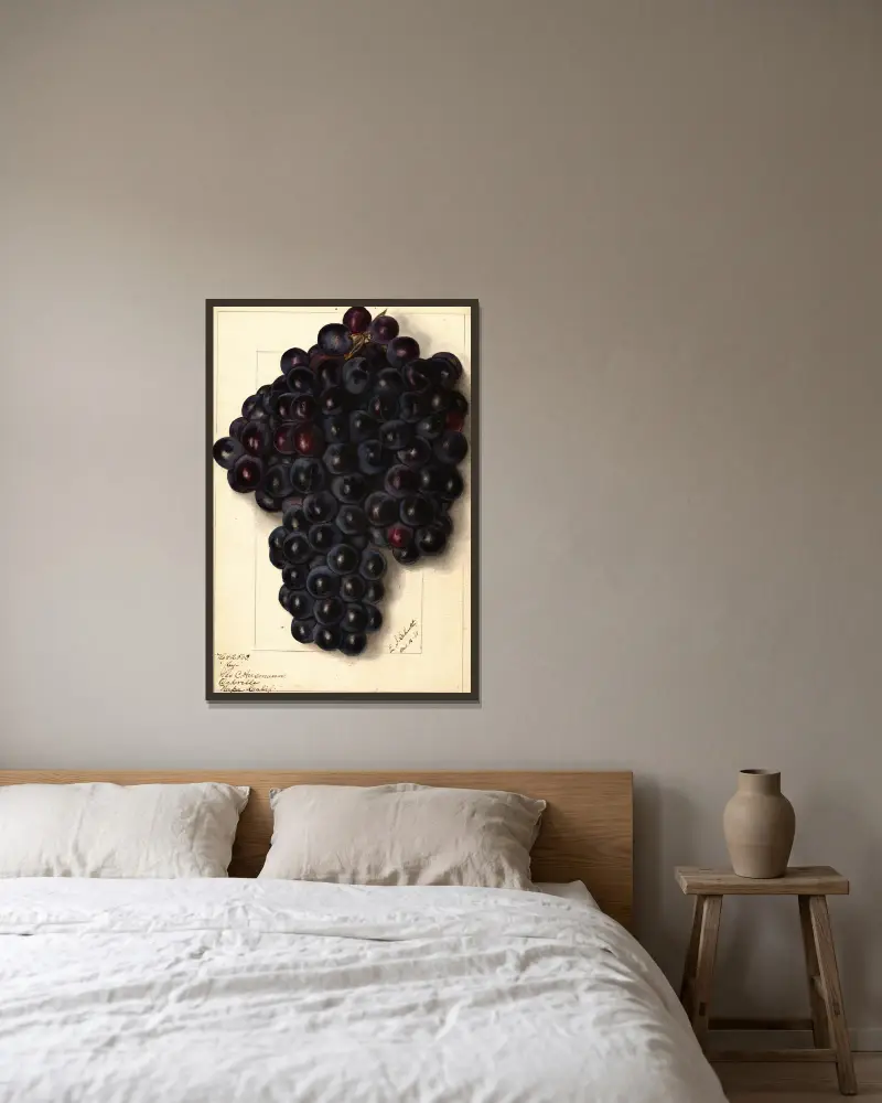 Vitis: Klíč, Ellen Isham Schutt v rámu na stěně