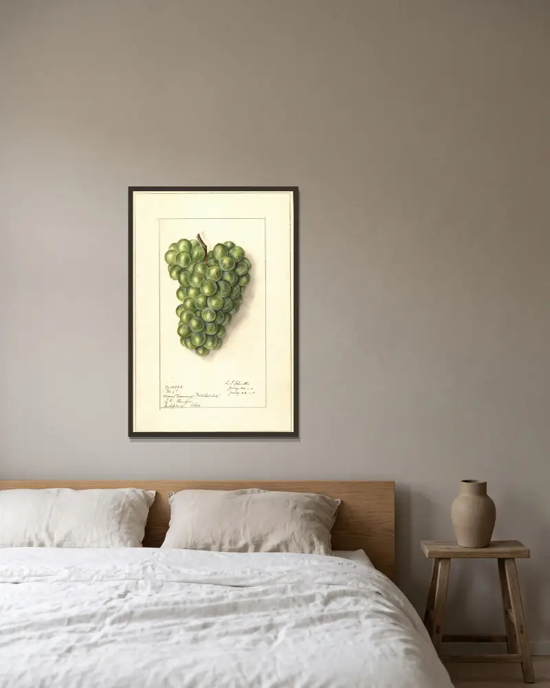 Vitis, 1911 – Nr. 1, Ellen Isham Schutt v rámu na stěně