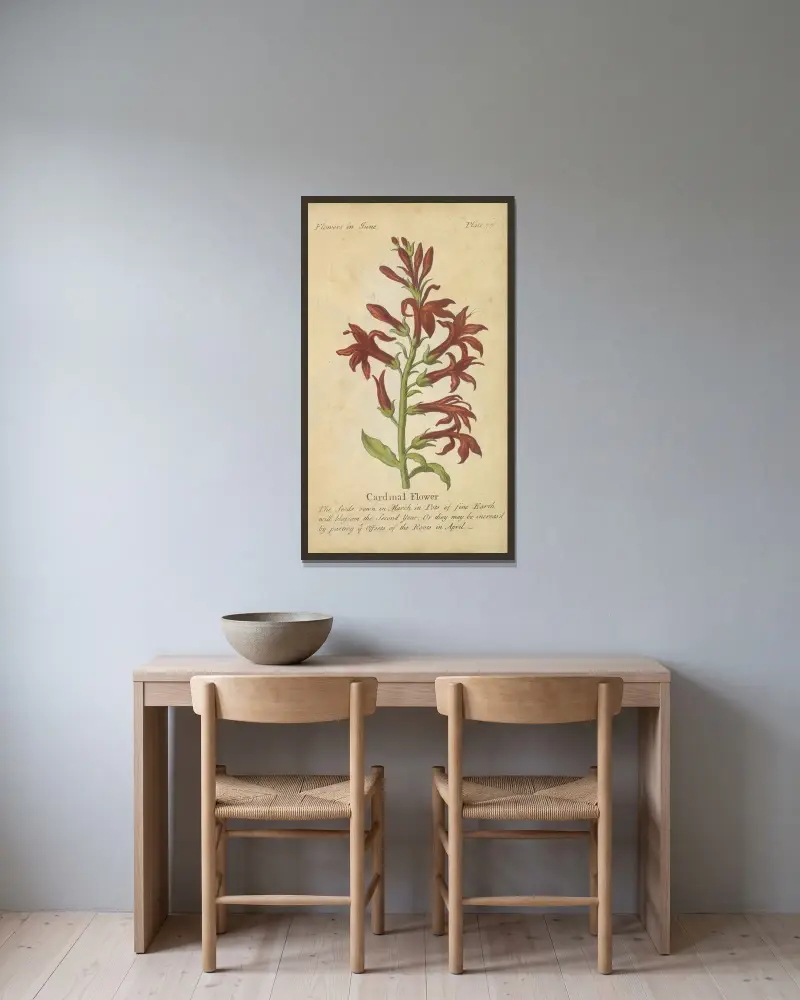 Kardinalblomma av J. Duke inramad på en vägg