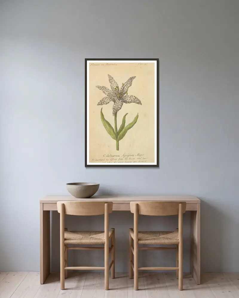 Colchium Agripina Major von J. Duke gerahmt an einer Wand