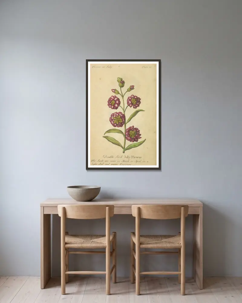 Gefüllte Levkoje Juli-Blume von J. Duke gerahmt an einer Wand