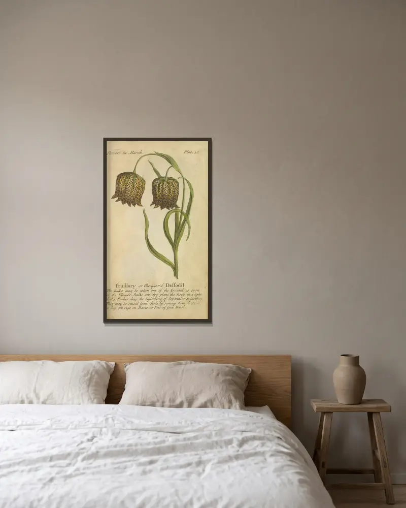 Fritillaria eller rutig påsklilja av J. Duke inramad på en vägg