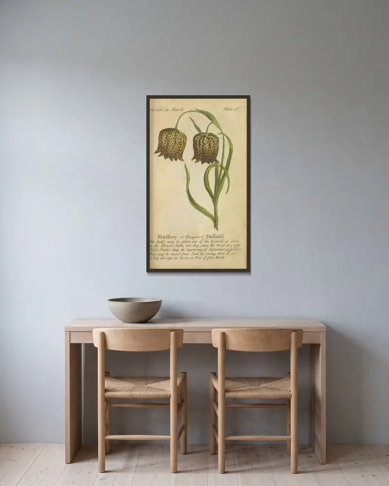 Fritillaria eller rutig påsklilja av J. Duke inramad på en vägg