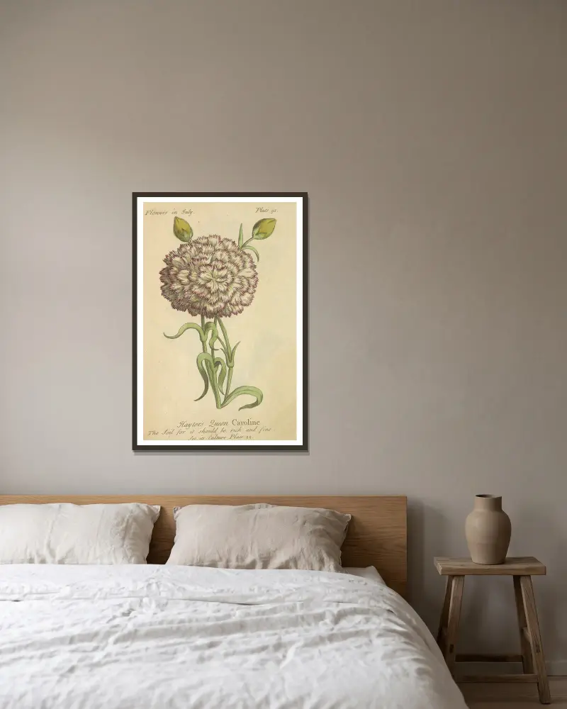 Hayterova královna Karolína, J. Duke v rámu na stěně