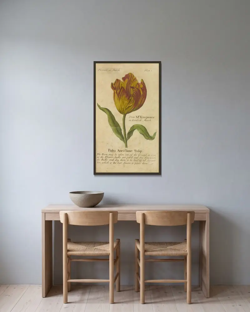 Palto Auri-flame Tulip av J. Duke inramad på en vägg