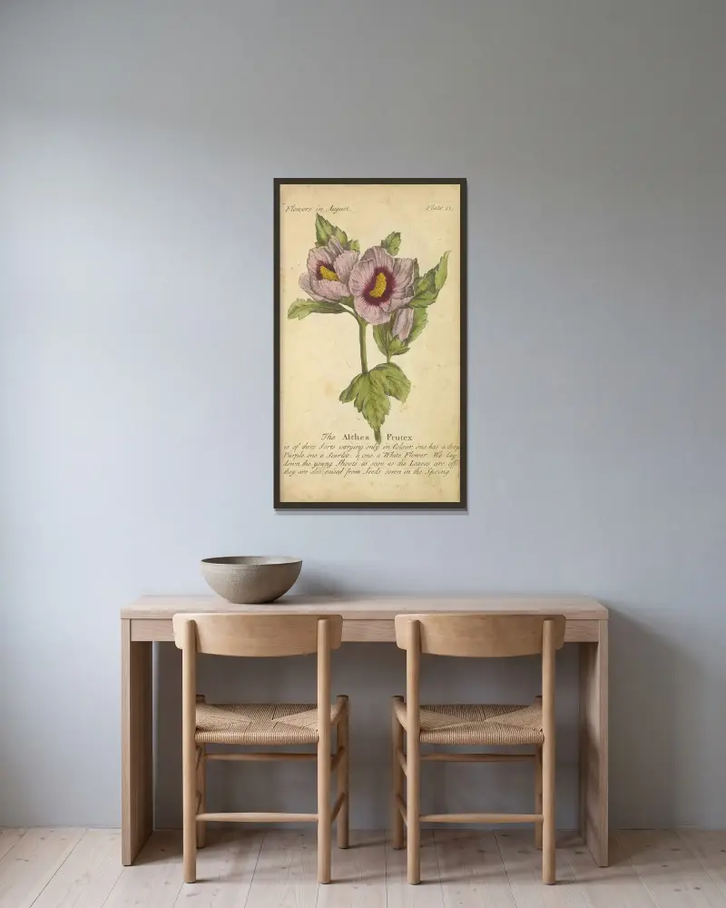 Althea Frutex von J. Duke gerahmt an einer Wand