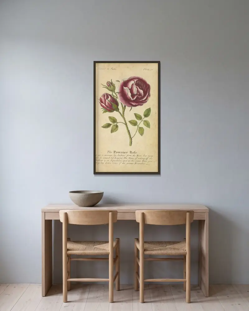 Provence-rosen av J. Duke inramad på en vägg