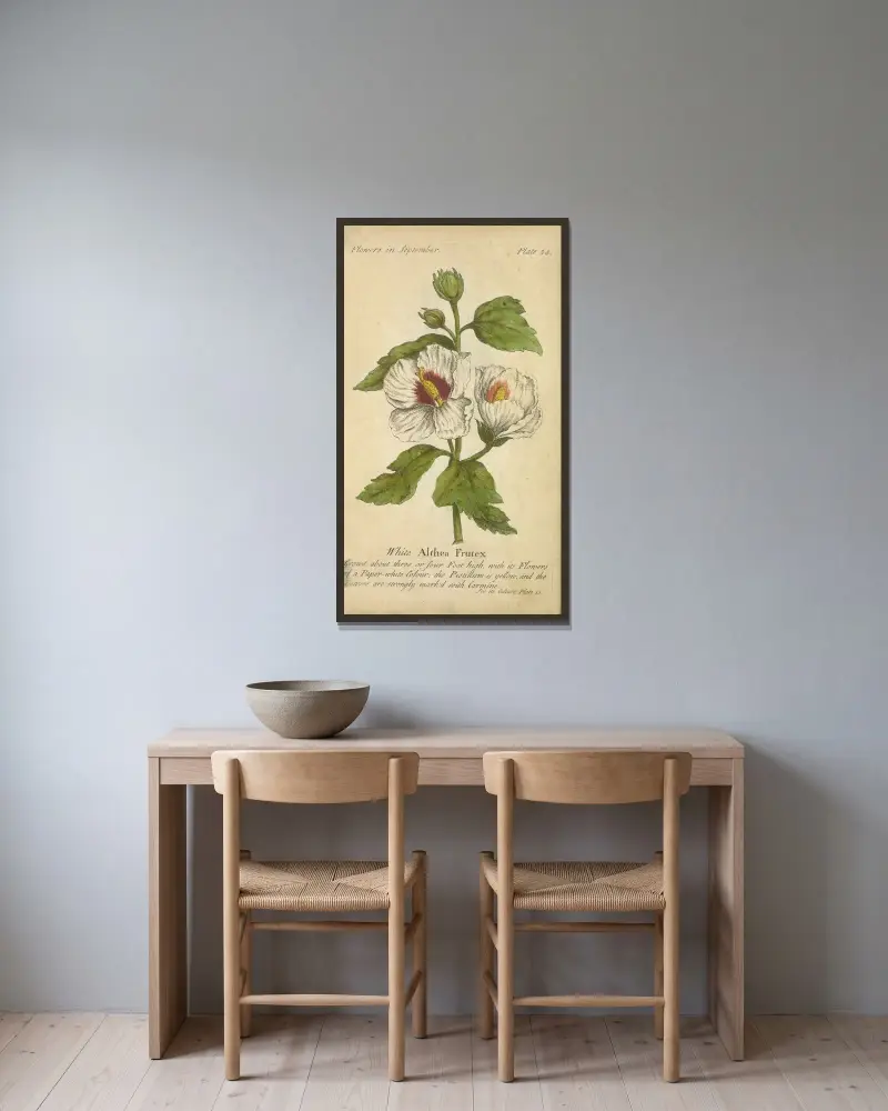 Weiße Altea Frutex von J. Duke gerahmt an einer Wand
