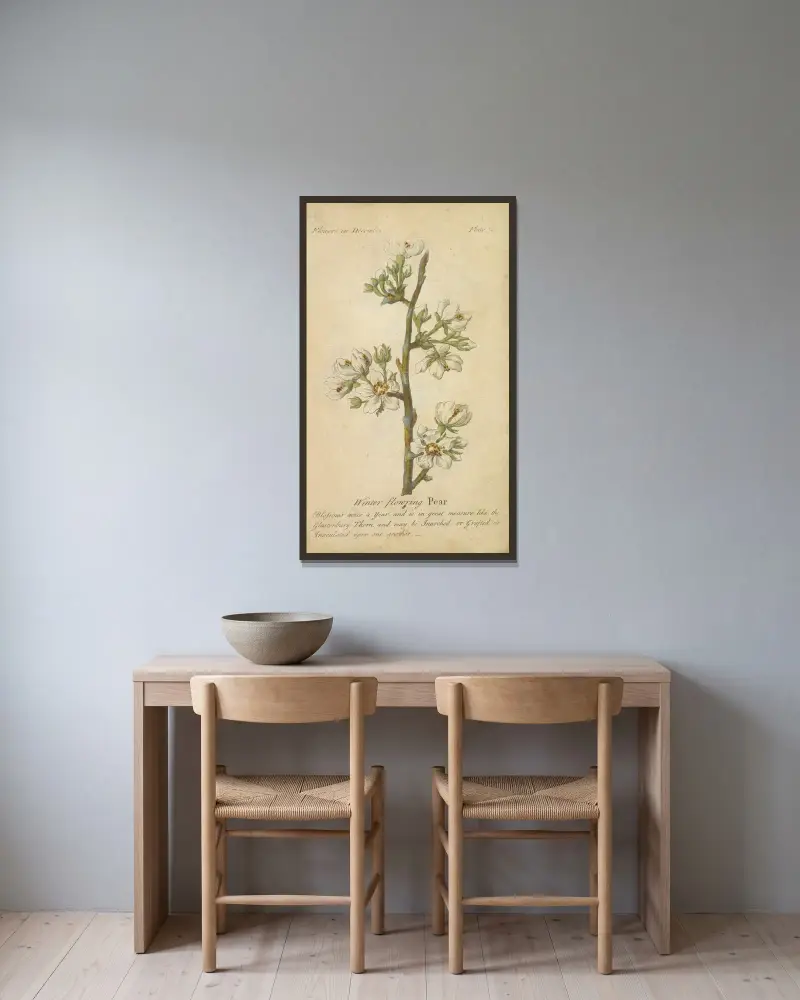 Vinterblommande päron av J. Duke inramad på en vägg