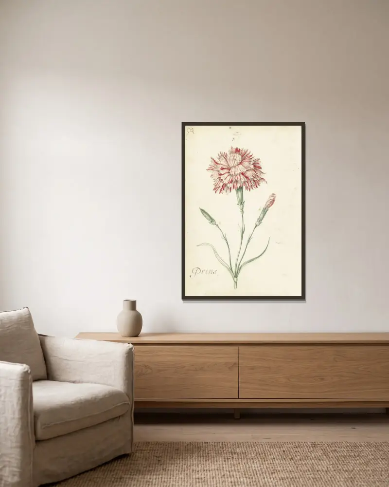 Carnation von Jacob Marrel gerahmt an einer Wand
