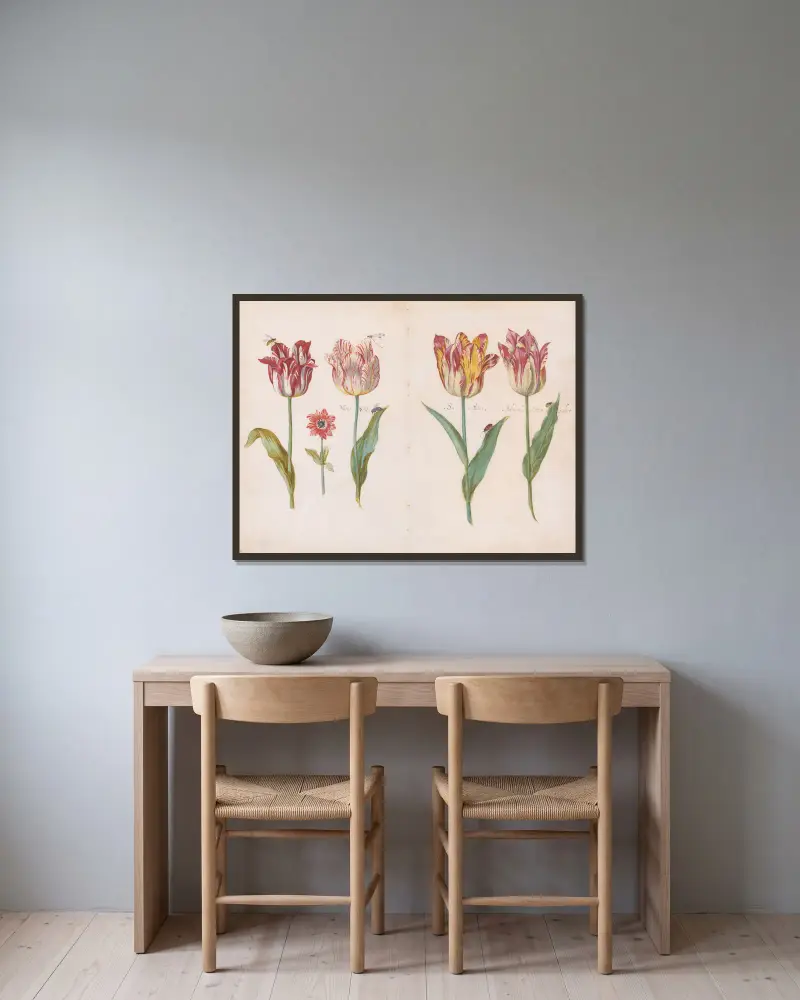 Blatt aus einem Tulpenbuch von Jacob Marrel gerahmt an einer Wand