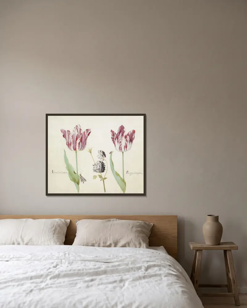 Zwei Tulpen mit Akelei, Nachtfalter und Käfer Admaral da Costta Parangun da Costta von Jacob Marrel gerahmt an einer Wand