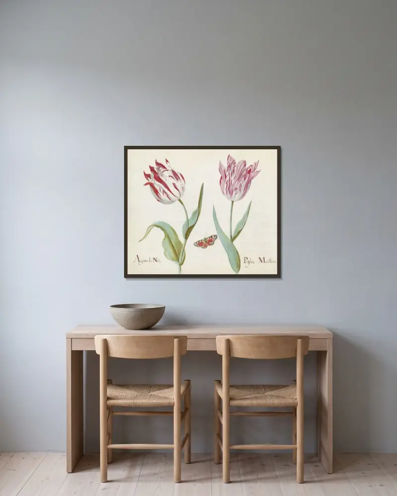 Två tulpaner med dagpåfågelsöga av Jacob Marrel inramad på en vägg
