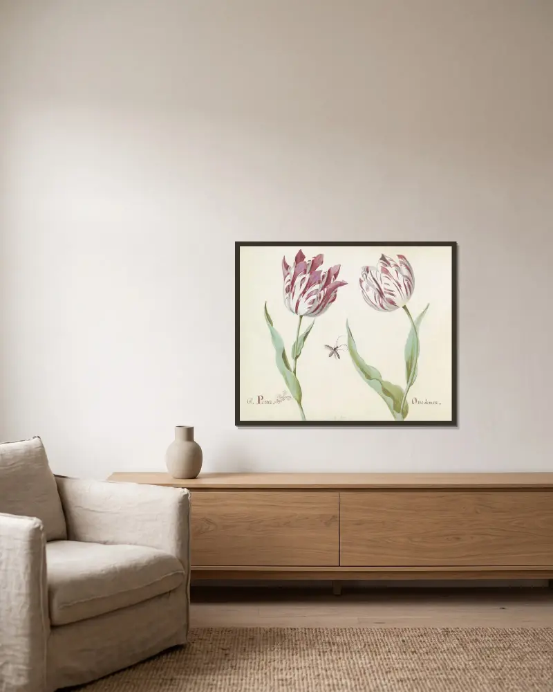 Twee tulpen met insect Gl. Petter Otto de man av Jacob Marrel inramad på en vägg