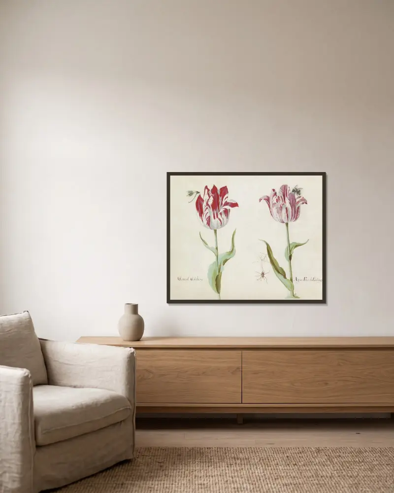 Zwei Tulpen mit Libelle, Spinne und Hummel General Gouda Agata Fenis de Enchuysse von Jacob Marrel gerahmt an einer Wand