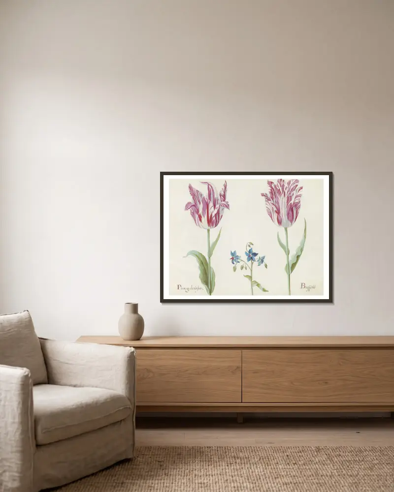 Twee tulpen met onbekende bloeiende plant Plumage da Costa Buspolo av Jacob Marrel inramad på en vägg