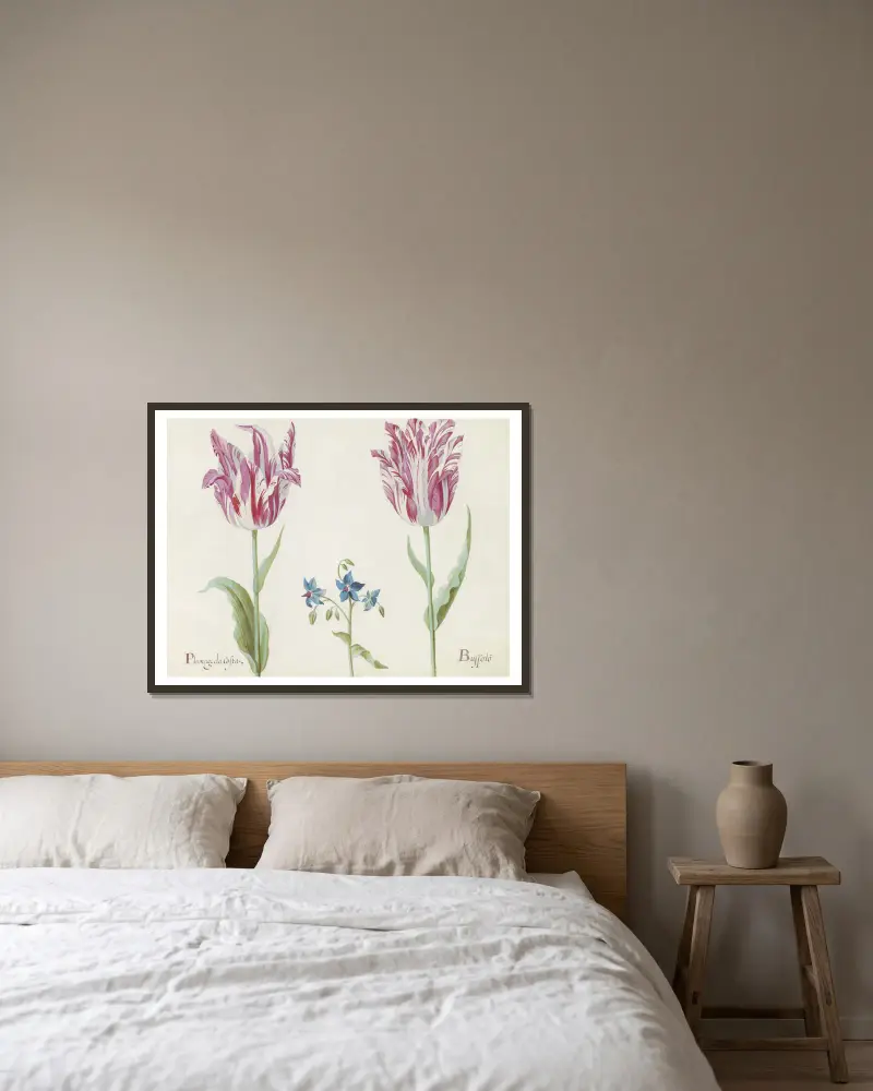 Twee tulpen met onbekende bloeiende plant Plumage da Costa Buspolo av Jacob Marrel inramad på en vägg