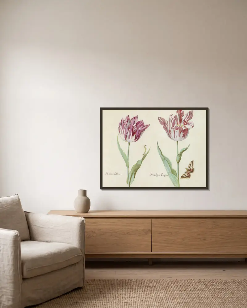 Twee tulpen met rups en vlinder Amaral viflora Generalissimo Dacosta av Jacob Marrel inramad på en vägg
