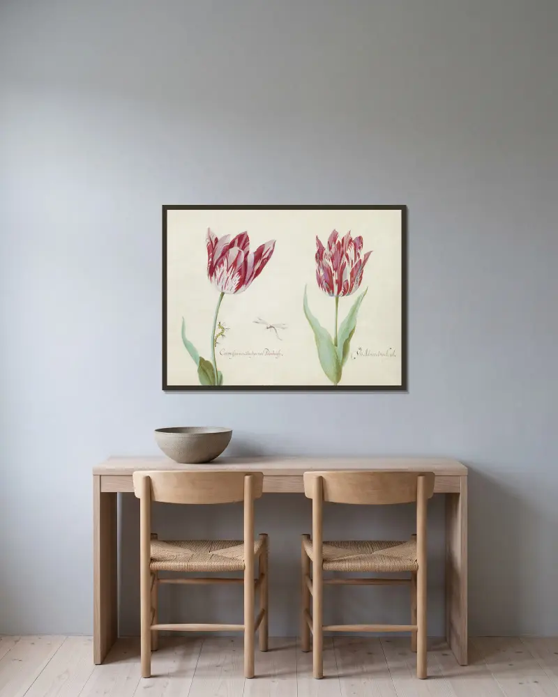 Twee tulpen met rups en waterjuffer Carmesijn met Colonbijn van Polonburgh Viz Admaral van Leijd(en) av Jacob Marrel inramad på en vägg