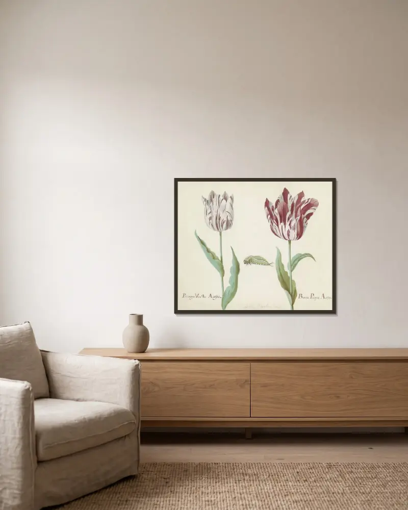 Zwei Tulpen mit Raupe von Jacob Marrel gerahmt an einer Wand