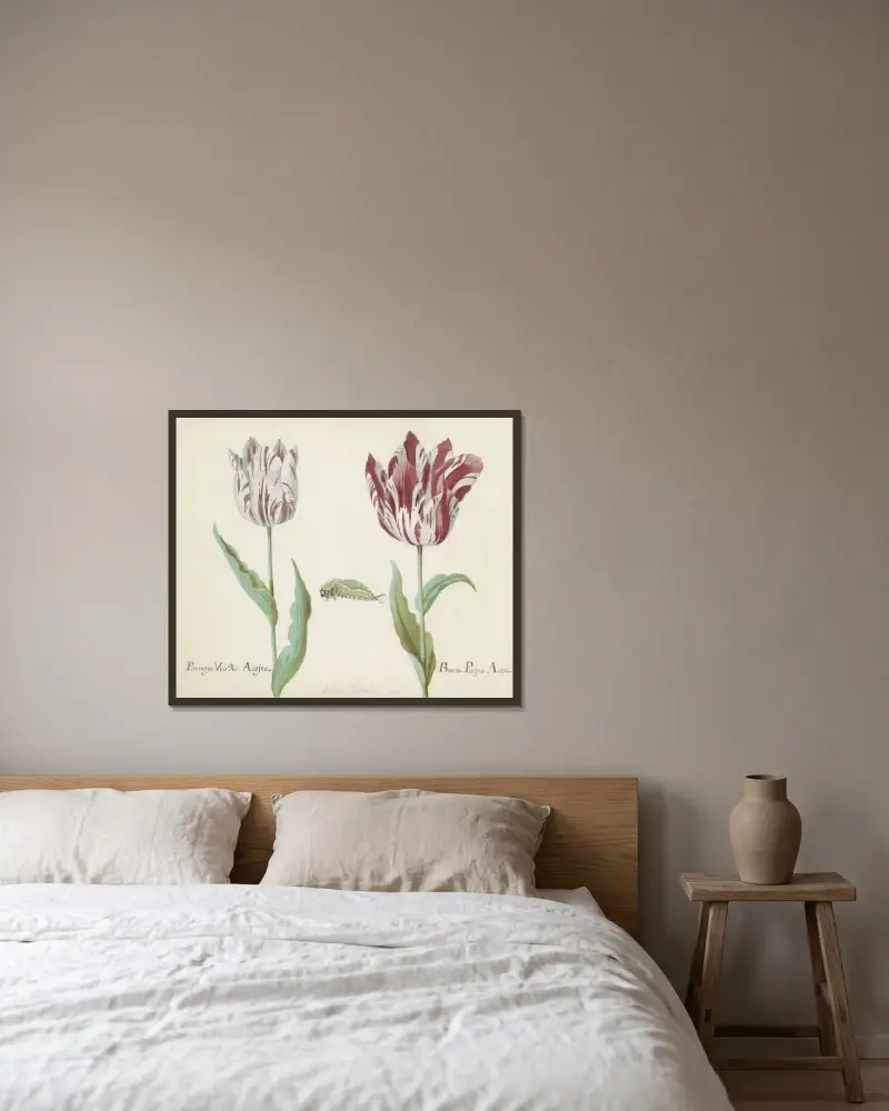 Zwei Tulpen mit Raupe von Jacob Marrel gerahmt an einer Wand