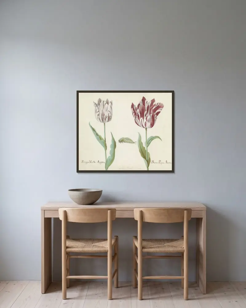 Zwei Tulpen mit Raupe von Jacob Marrel gerahmt an einer Wand
