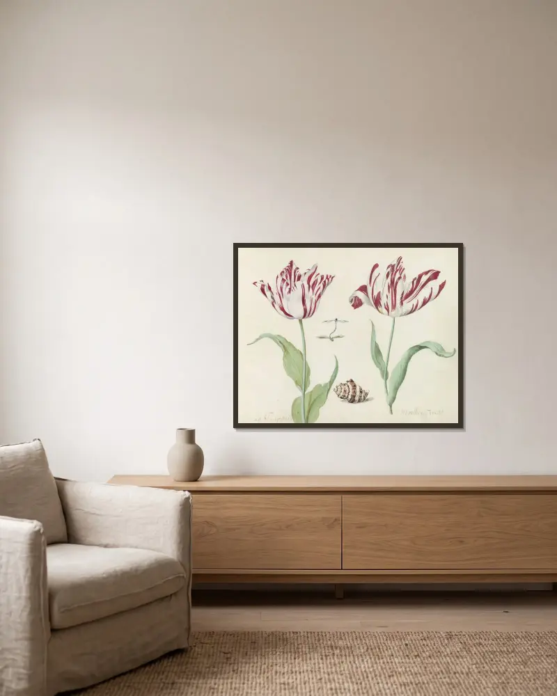 Zwei Tulpen mit Muschel und sich paarenden Libellen La belle Grebielle Morrillion Frucht von Jacob Marrel gerahmt an einer Wand