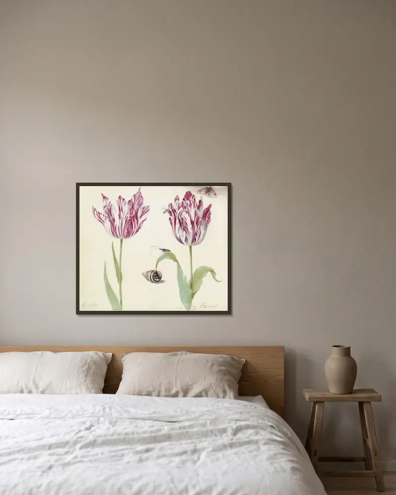 Zwei Tulpen mit Schnecke, Käfer, Fliege und Schmetterling (Minerva G. Standart) von Jacob Marrel gerahmt an einer Wand