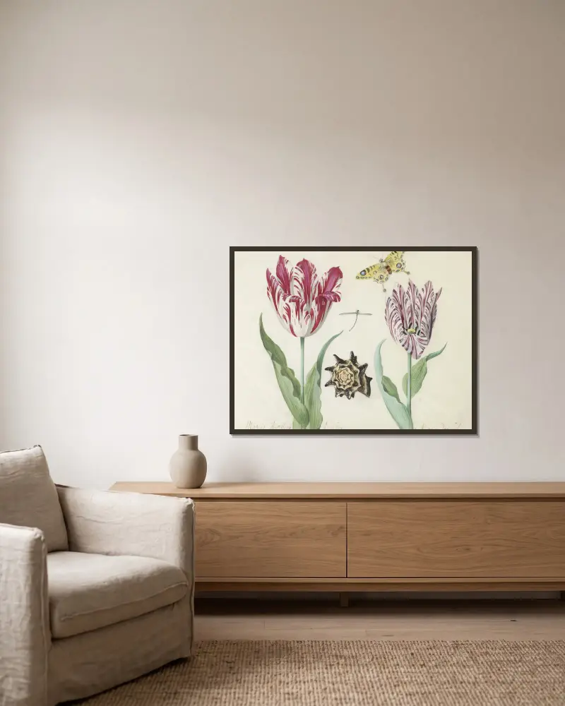 Twee tulpen met schelp, waterjuffer en vlinder Marcus Aurellius Augustus A van der Pul av Jacob Marrel inramad på en vägg