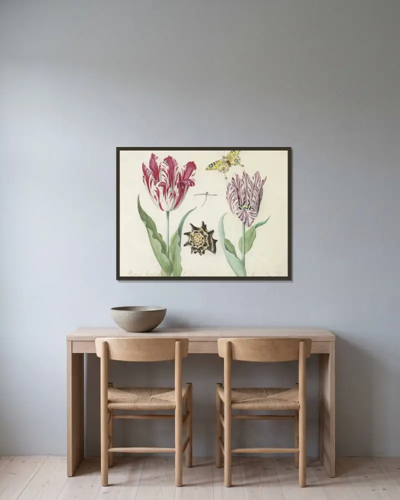Twee tulpen met schelp, waterjuffer en vlinder Marcus Aurellius Augustus A van der Pul av Jacob Marrel inramad på en vägg
