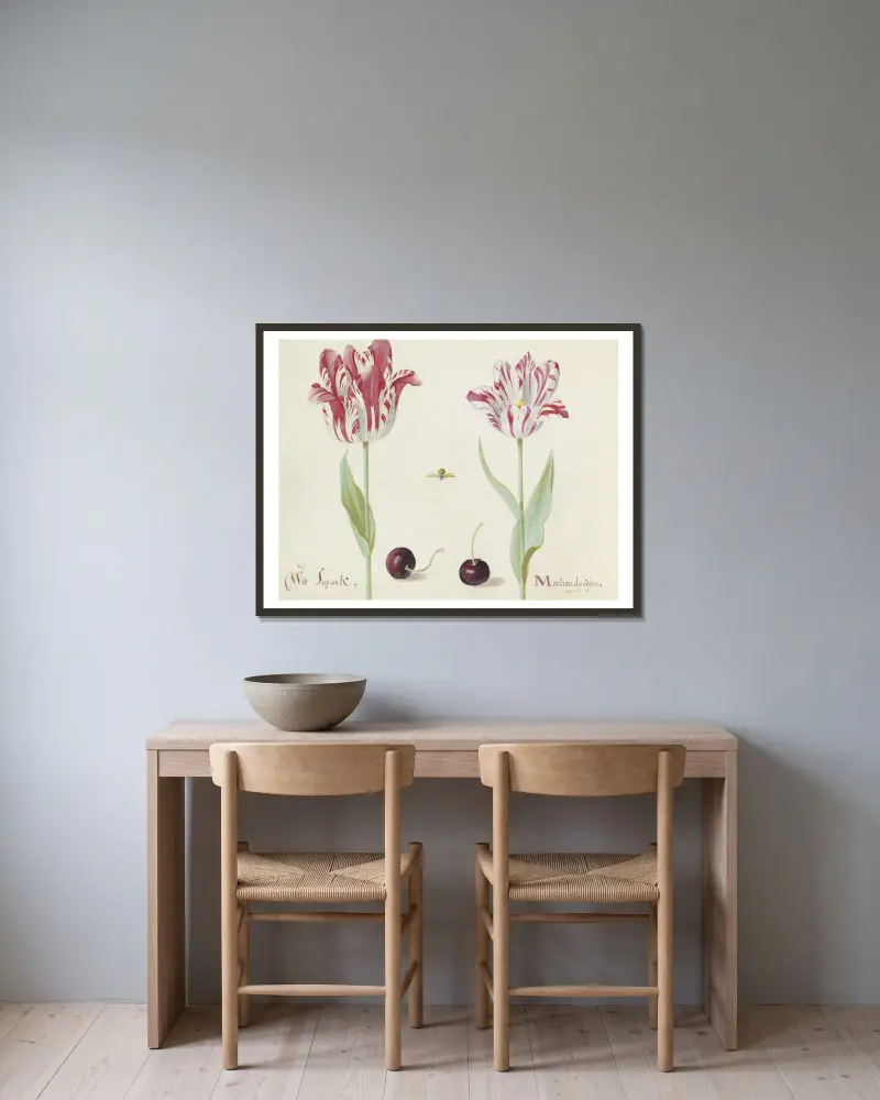 Twee tulpen met twee kersen en bij Wit Laprock Morlion da Costa av Jacob Marrel inramad på en vägg